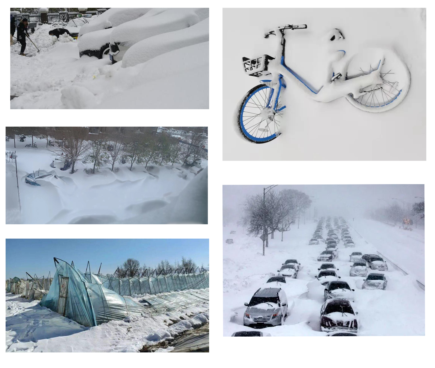 雪灾.png