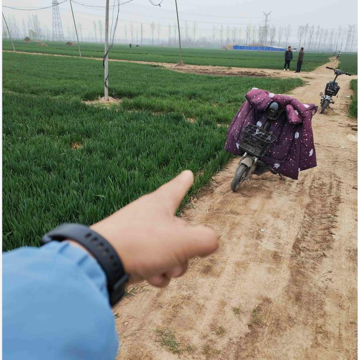 麦田.jpg